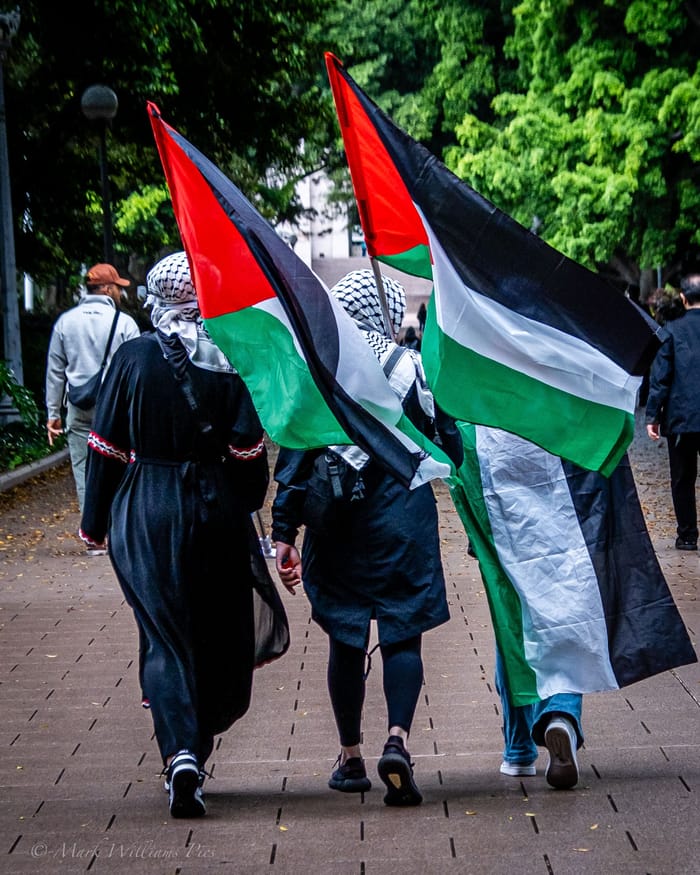 Palestinian protest march in Sydney 