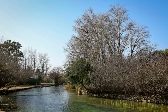 View of springs in Banias Nature Reserve in Northern Israel