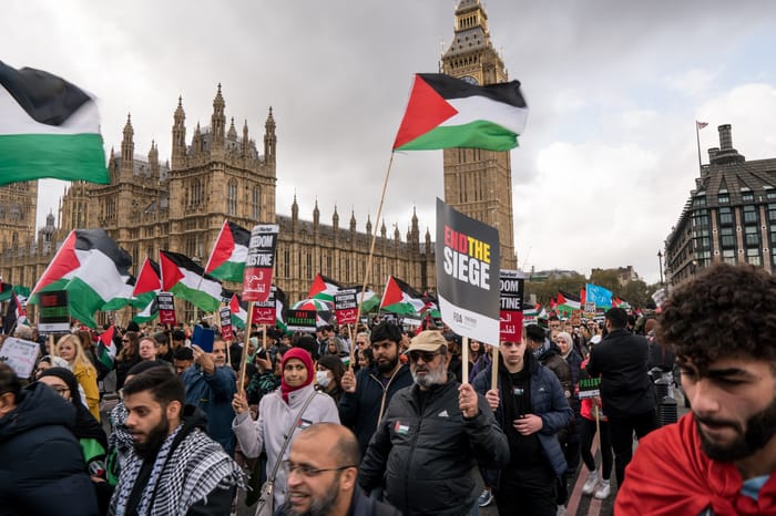 Pro-Palestine demonstrators in London