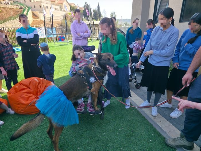 Children and dogs, rejoicing together on Purim.
