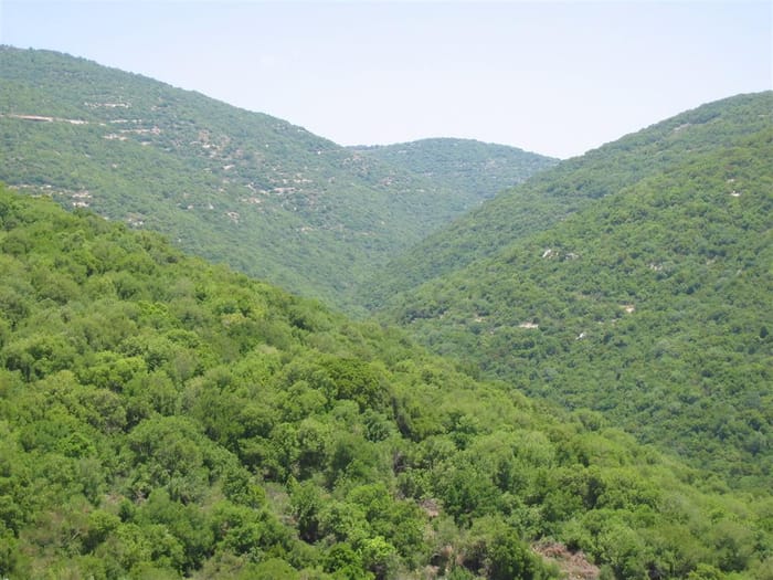 Mt Meron