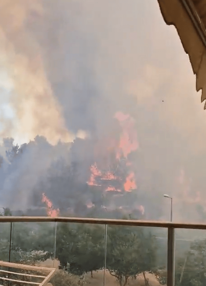 Wilfires near Jerusalem