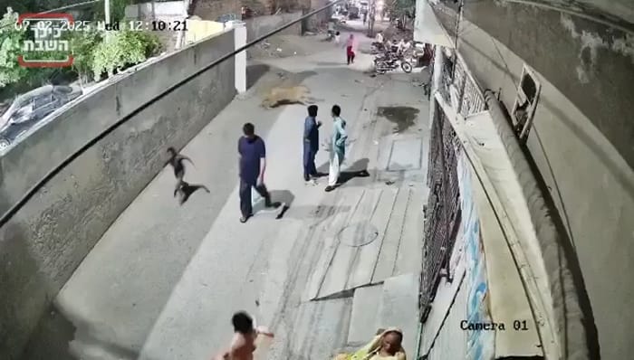  Lion Attacks Woman and Children in Pakistan