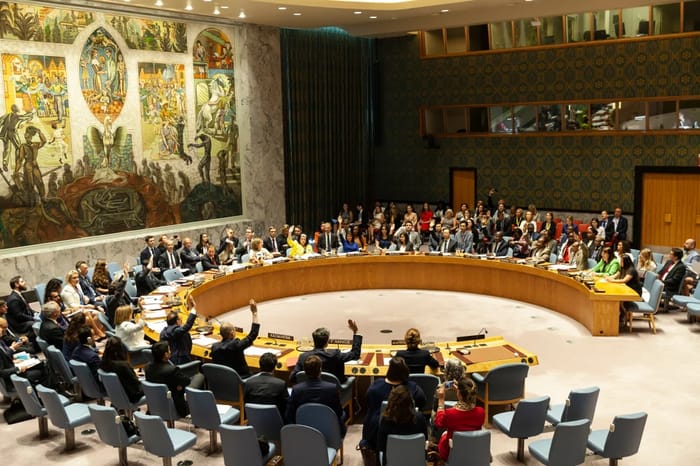 United Nations Security Council