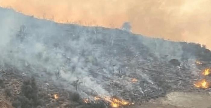 Cyprus Wildfires
