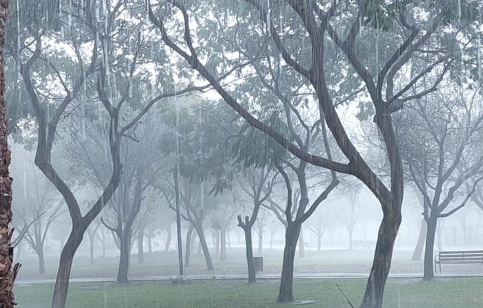 First rain in Nahariya