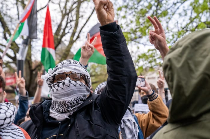 Masked Protester