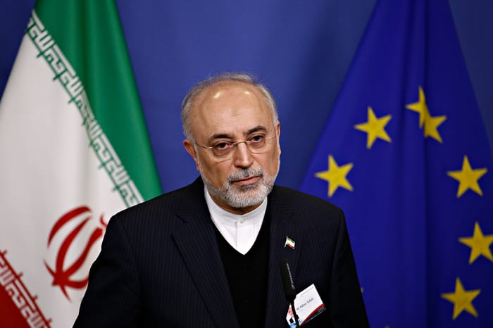 Ali Akbar Salehi, Head of the Atomic Energy Organisation of Iran