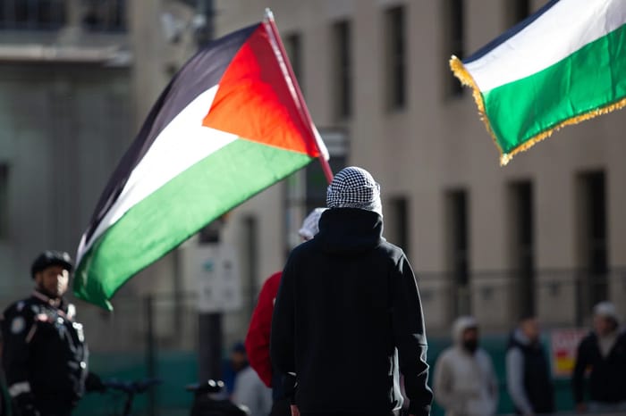 Pro-Palestinian protester