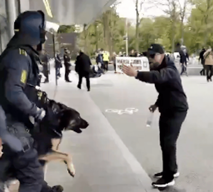 Danish Police Use K9 Dogs to Clear Anti-Israel Protest in Copenhagen
