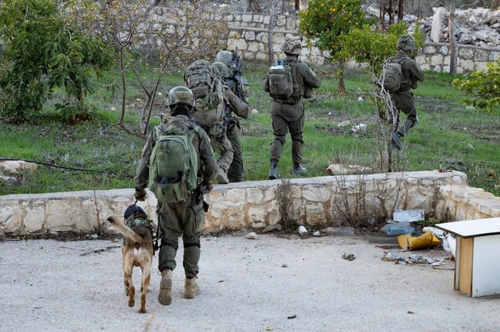 IDF soldiers operate in South Lebanon