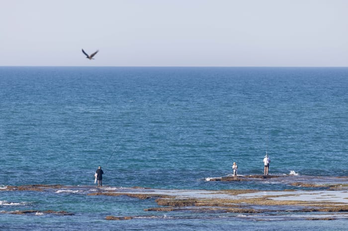 Palmachim beach