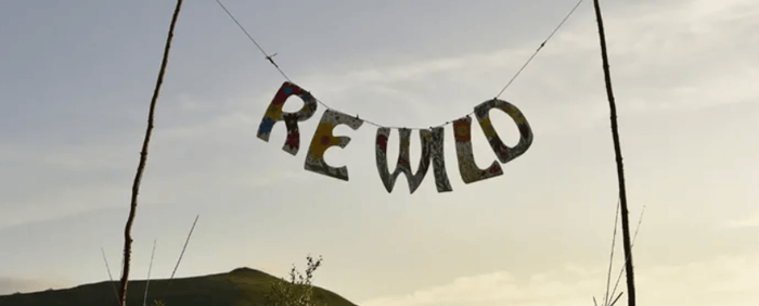 RE WILD Music Festival