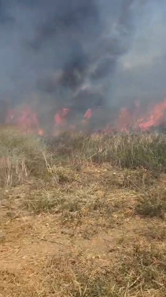 Fire in Argaman