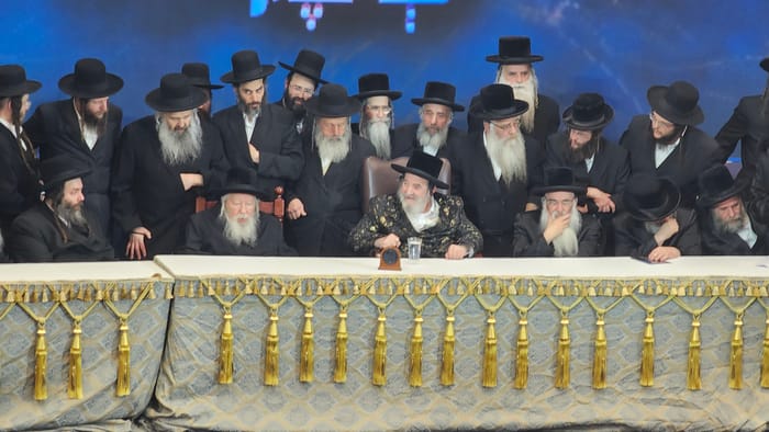 כינוס חסידי ויז'ניץ 