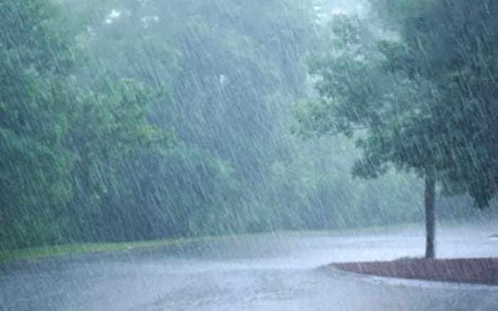 Rain in August