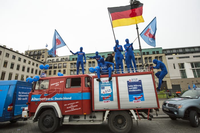Supporters of the "Alternative for Germany" party