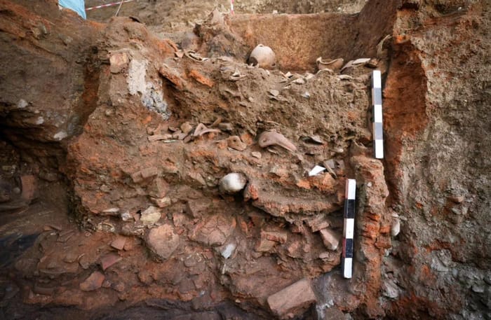The archaeological finds
