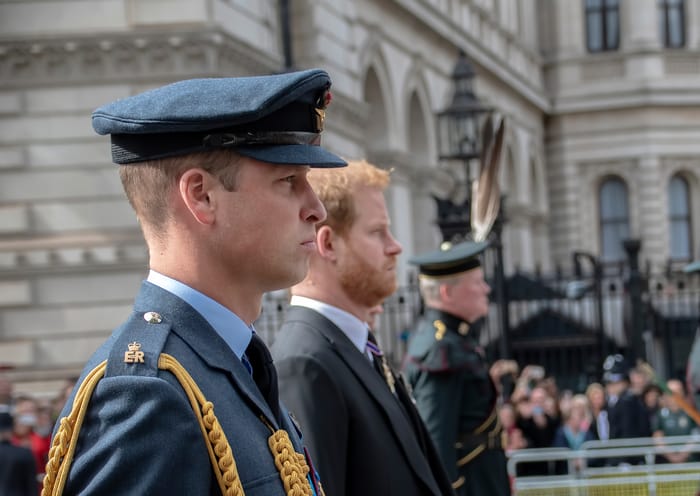 Prince William and his brother Harry
