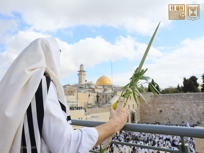 The second day of Birkat Kohanim, Chol HaMoed Sukkot 5786