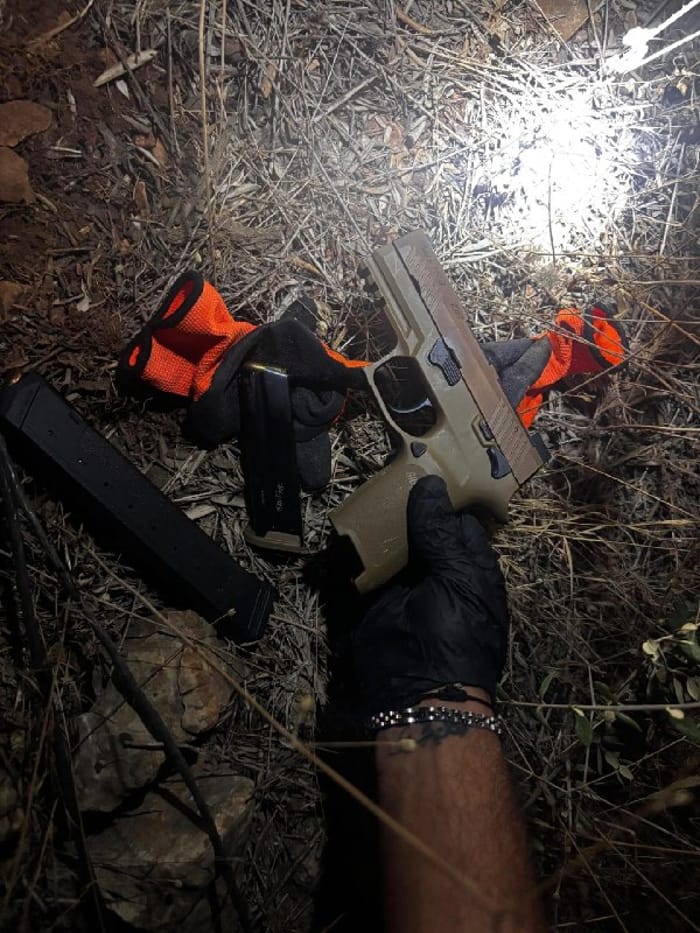 The handgun and magazines