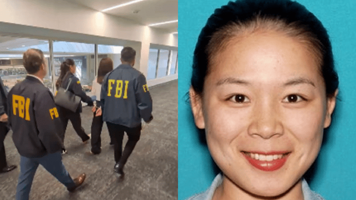 The dramatic arrest of the Chinese spy