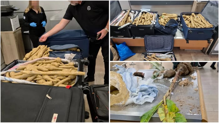 The seizure at Ben Gurion Airport