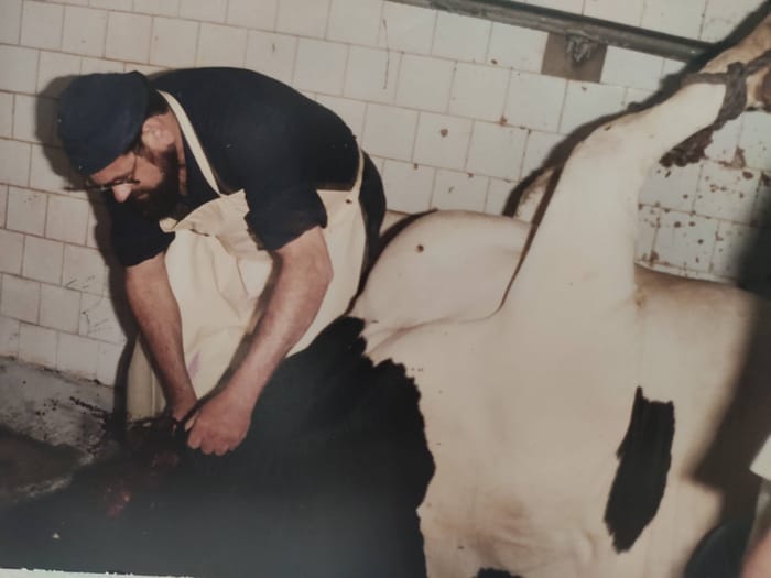Shechita at the Netanya slaughterhouse