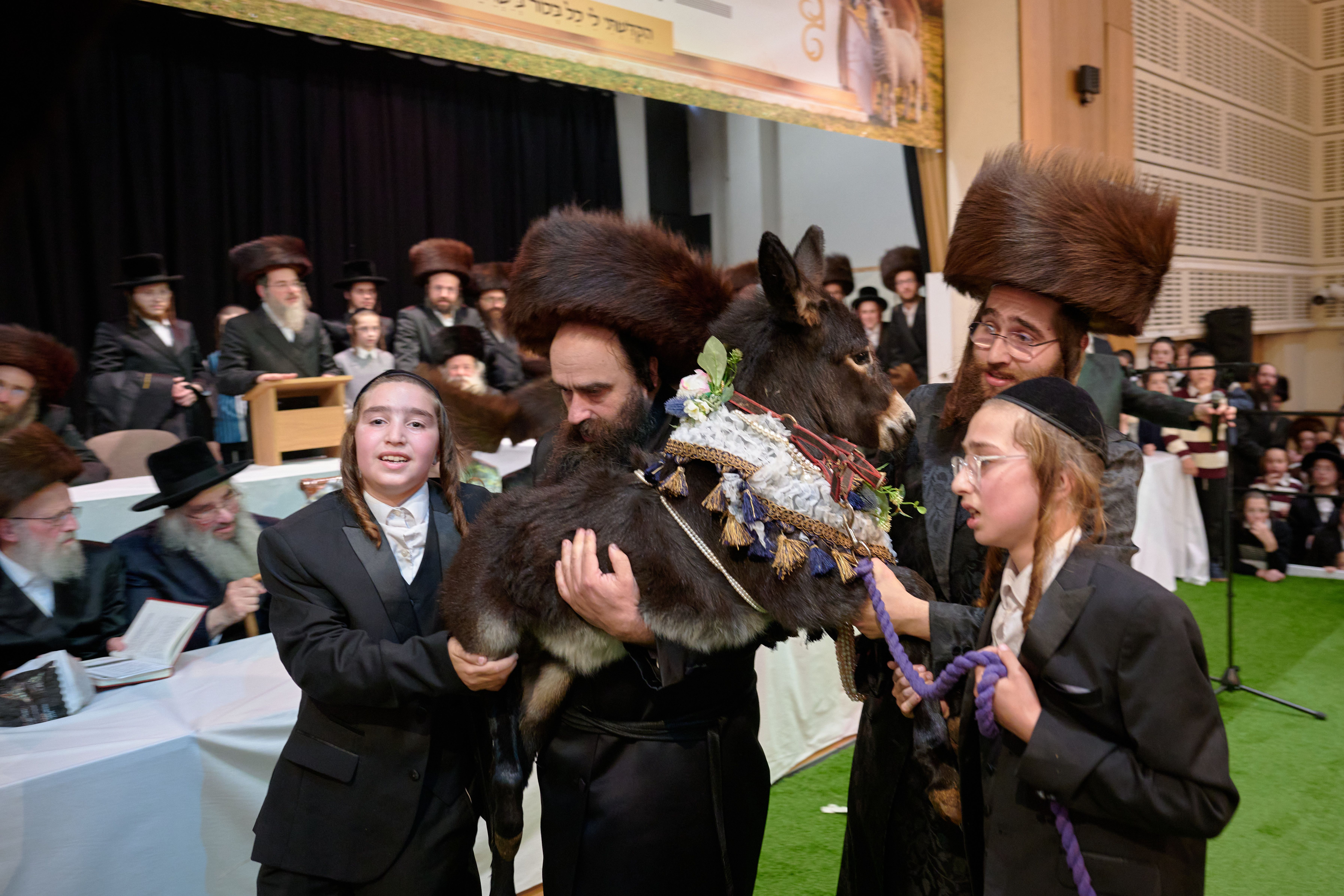 Pidyon peter chamor ceremony in London