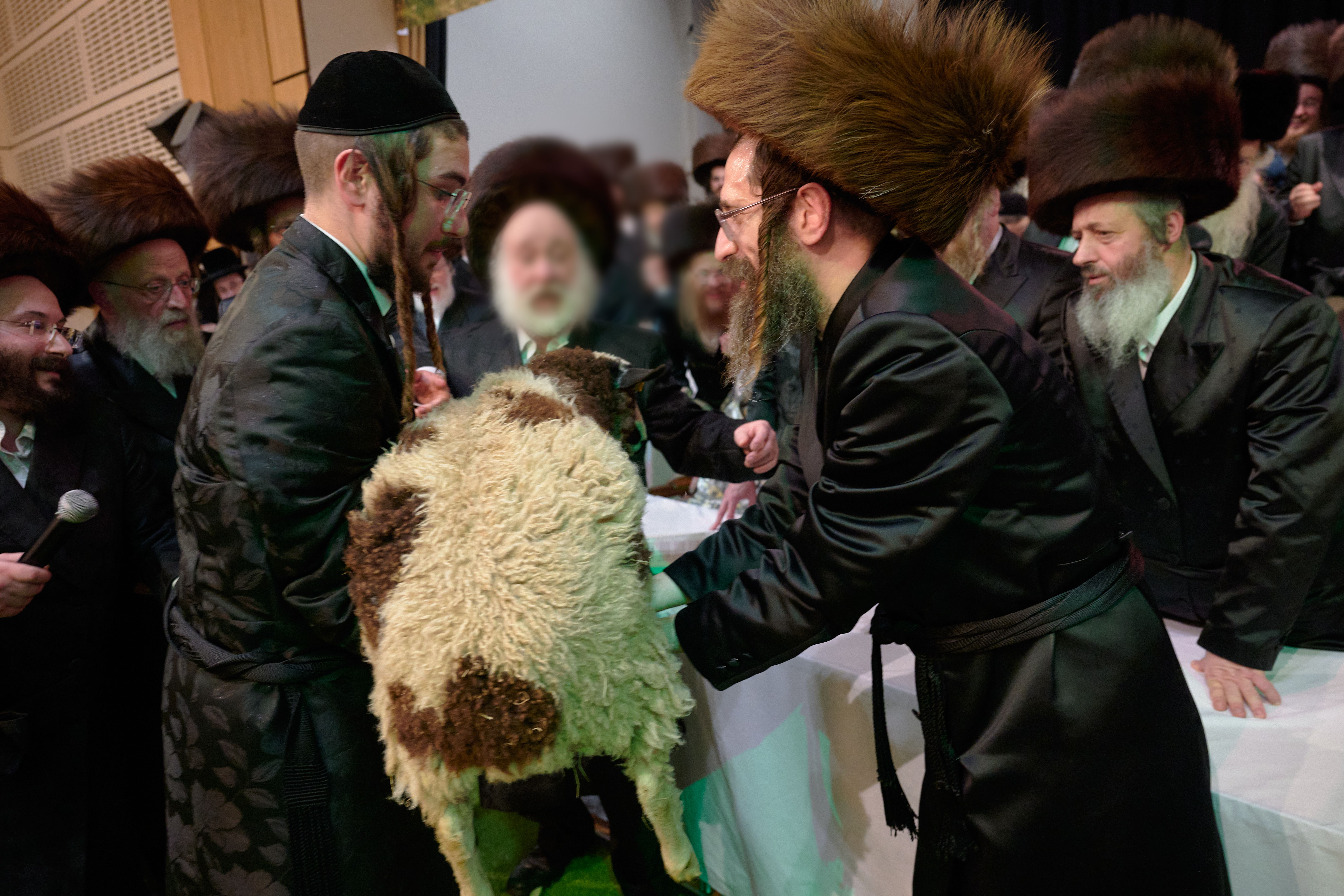 Pidyon peter chamor ceremony in London