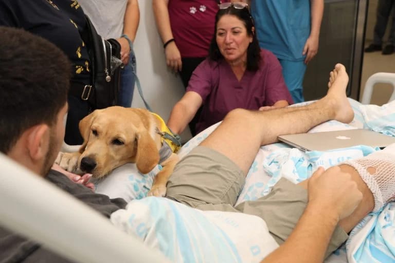 "We knew we could cheer up many (with the dogs)."