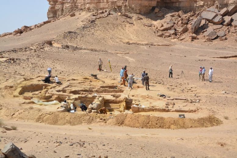 The excavation site