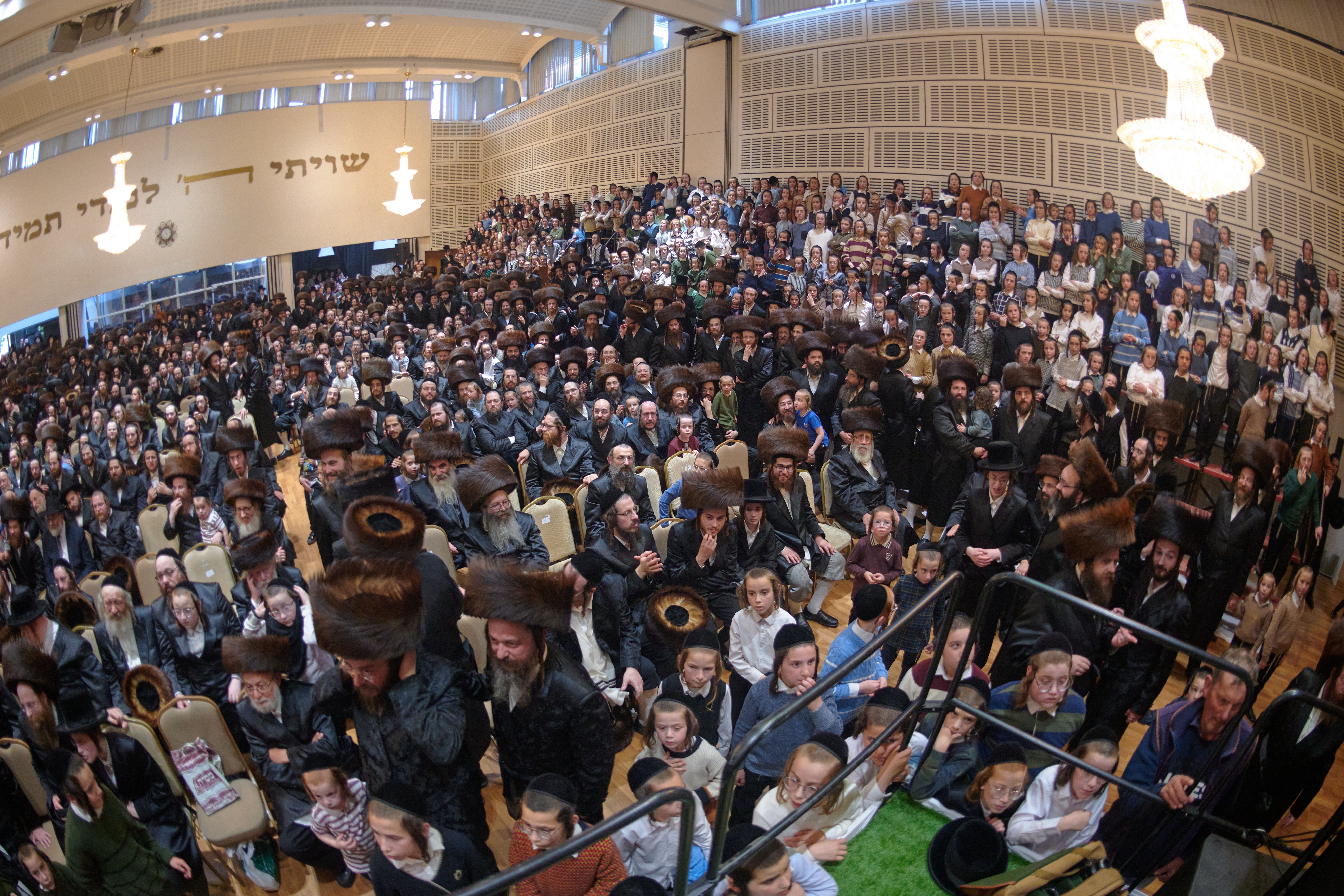 Pidyon peter chamor ceremony in London