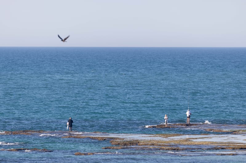 Palmachim beach