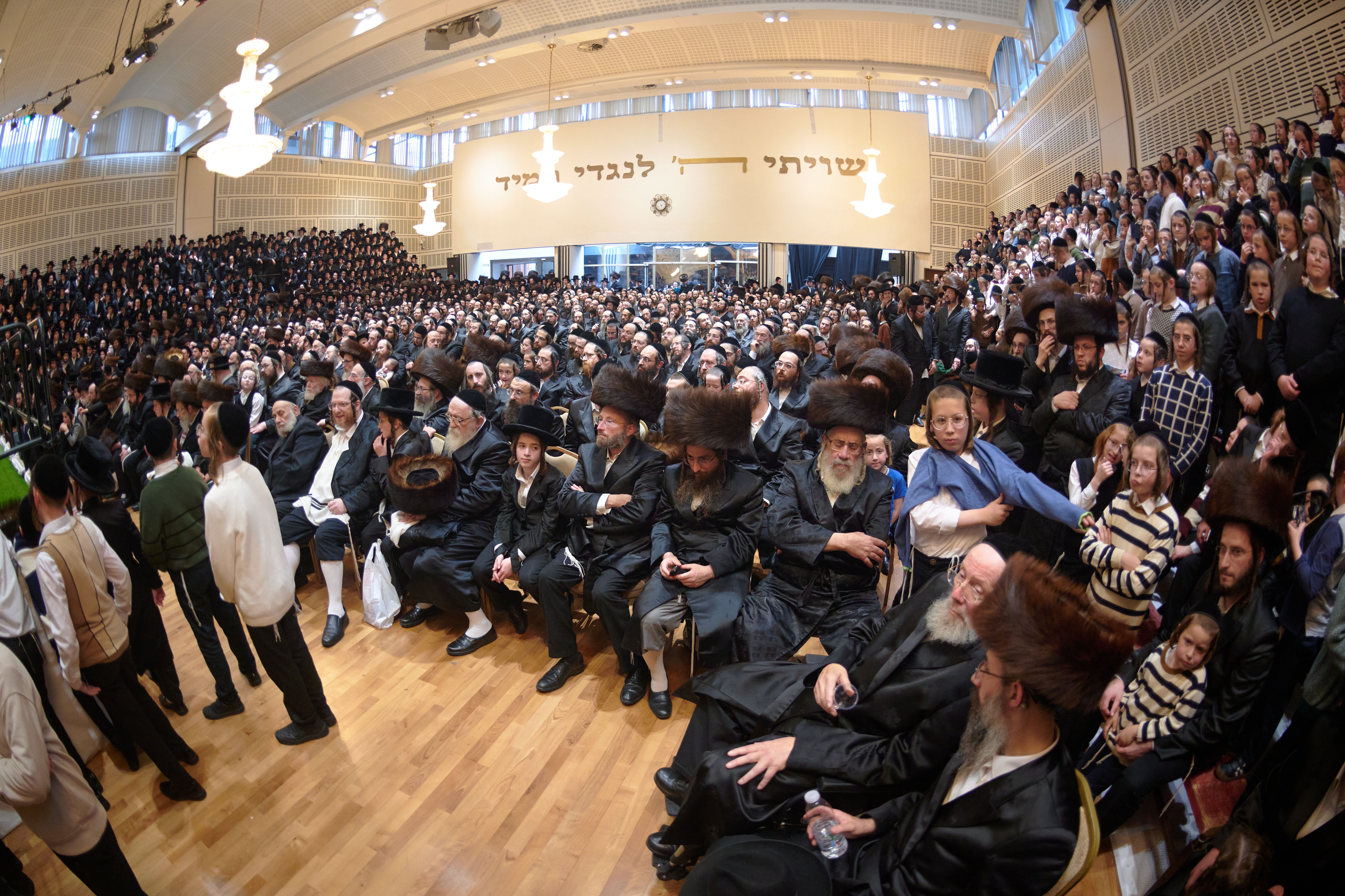 Pidyon peter chamor ceremony in London