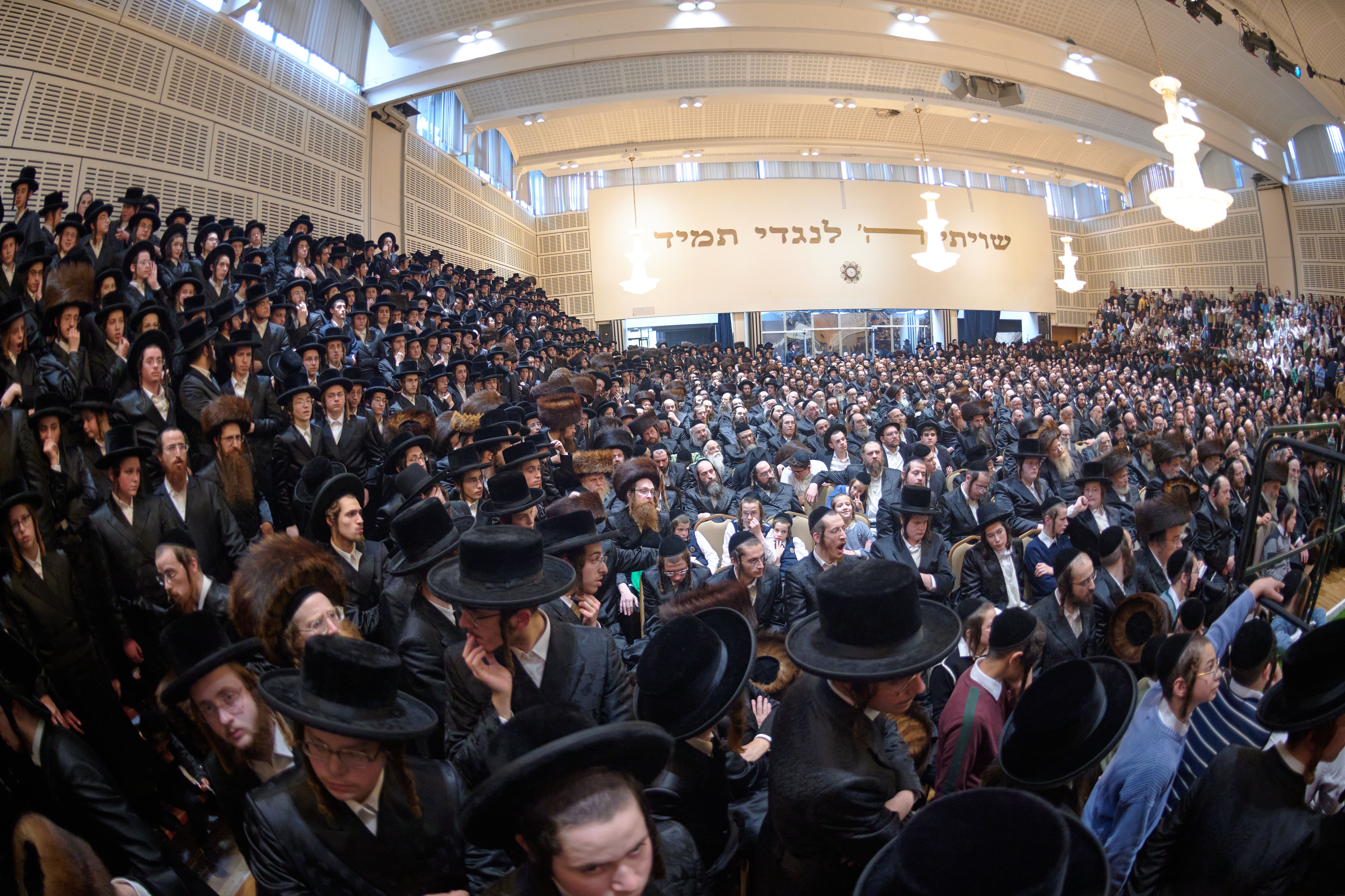 Pidyon peter chamor ceremony in London