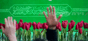 Preparations for Ali Khamenei's funeral are underway