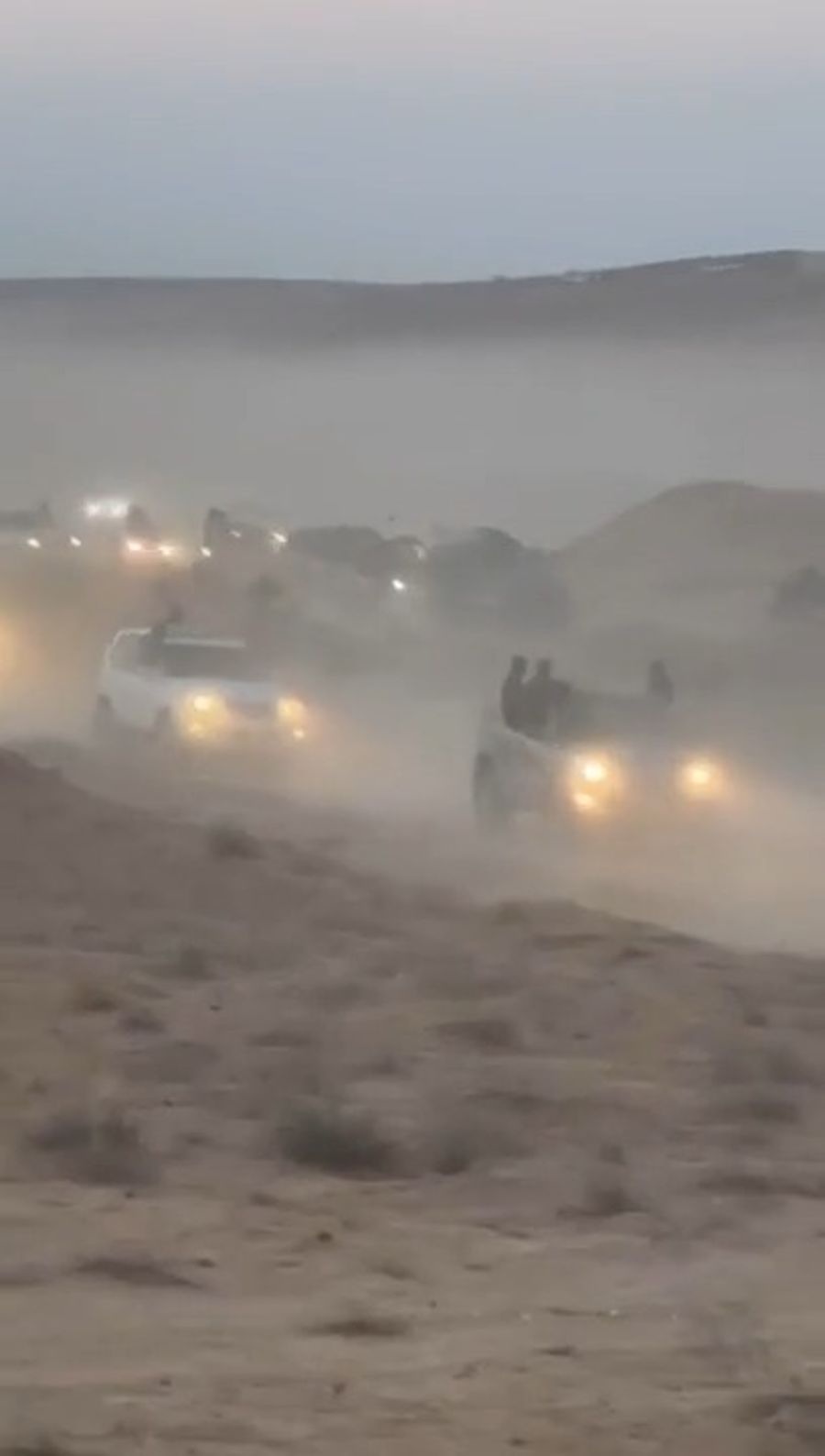 Camel race in the Negev