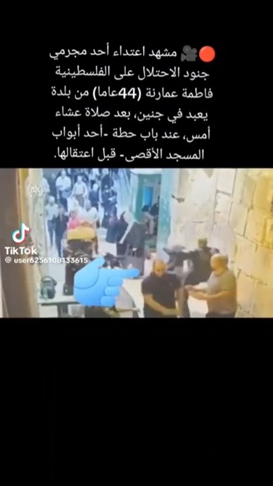 The clipped video as shown by the Arabs