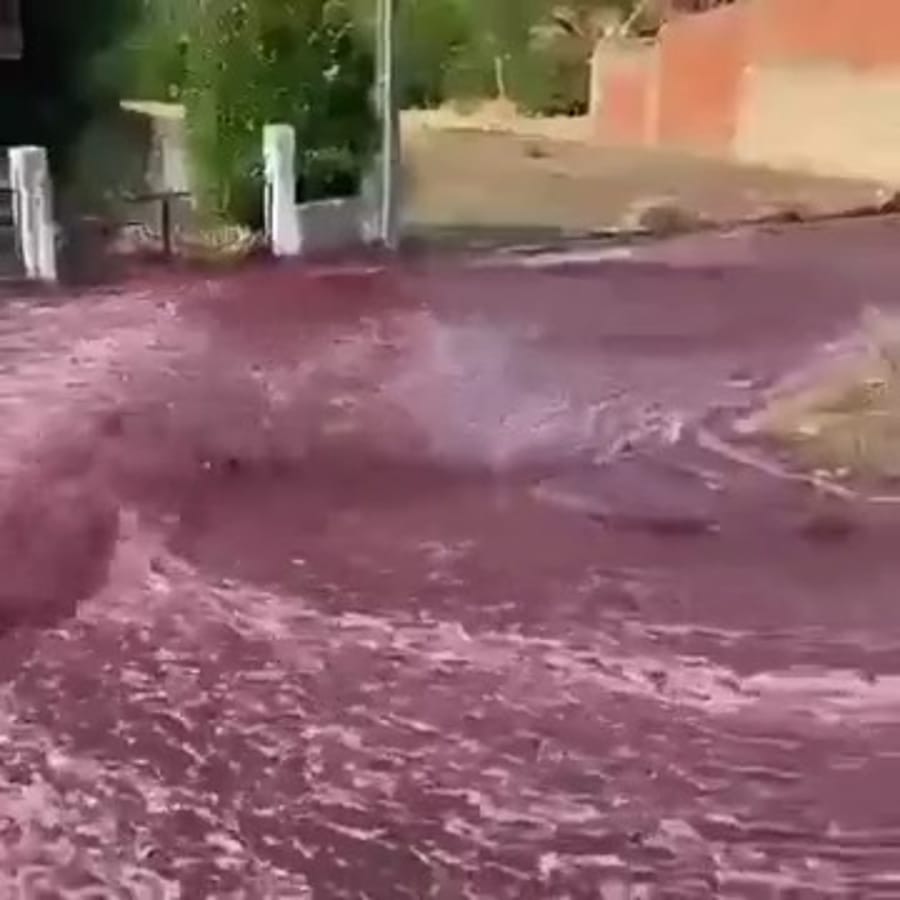 The river of wine in the city of Anadia Portugal