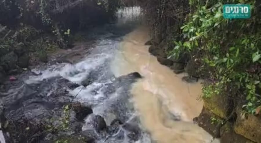 The muddy Govta stream connects to the Banias following the rains