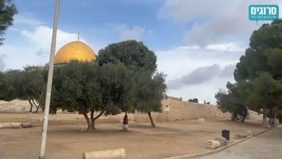 The Temple Mount today