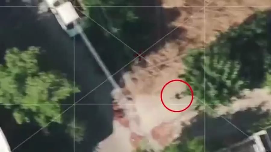 Spotting the terrorist before the strike.