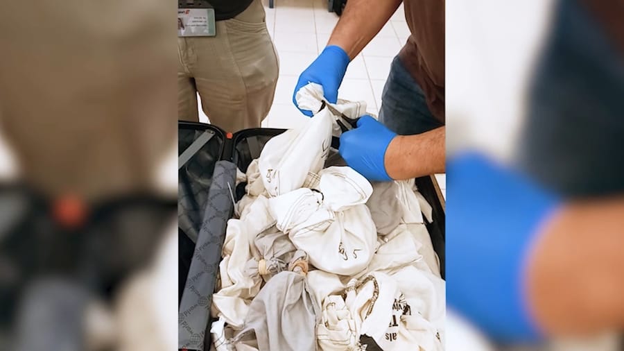Snakes discovered in suitcase.