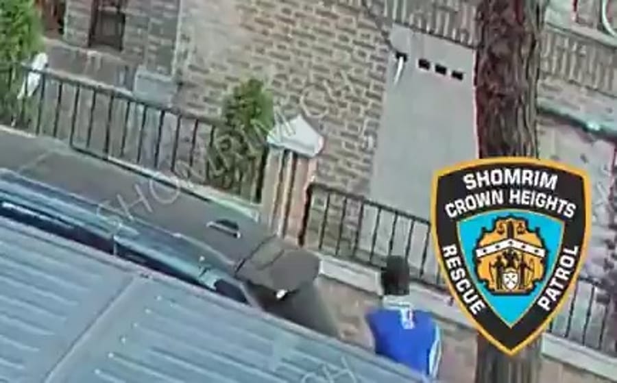 Attempted kidnapping