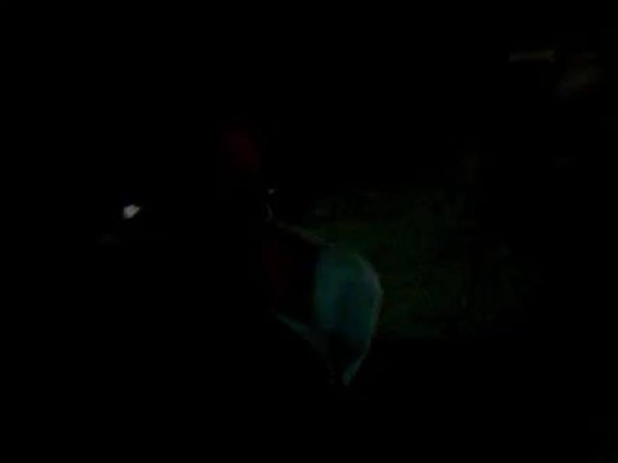 Security forces destroy settlers' home at 3am