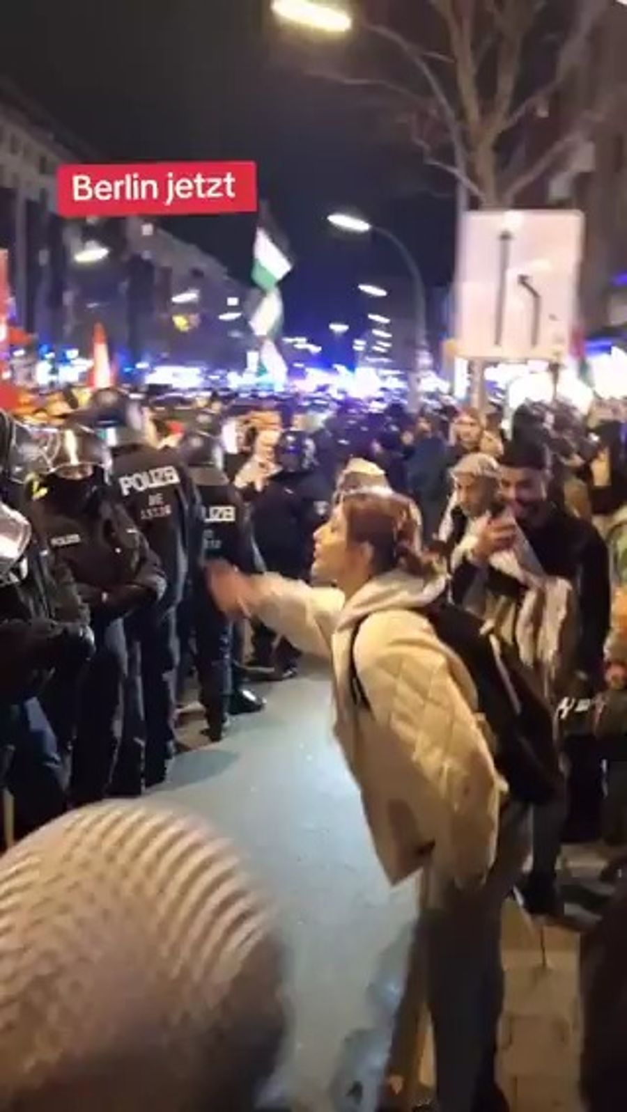 Pro-Palestinian disruptors of German Christmas market