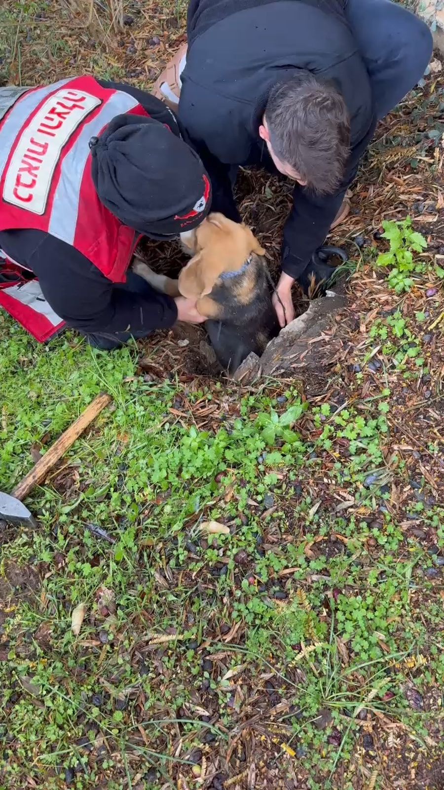 Rescuing the dog.