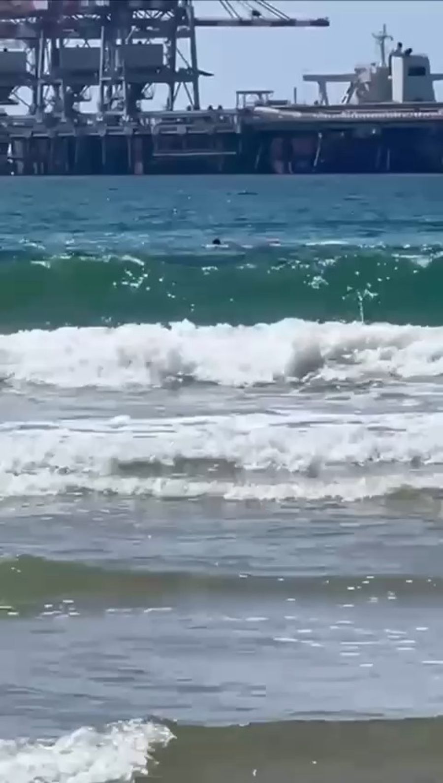 Shark attack, Hadera beach, April 21