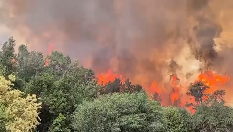 Scene of the fire outside of Jerusalem